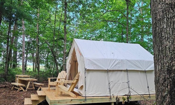 Deer Lodge Alquiler De RV | Tentrr Signature Site - Reflection Tree Art Farm Forest site