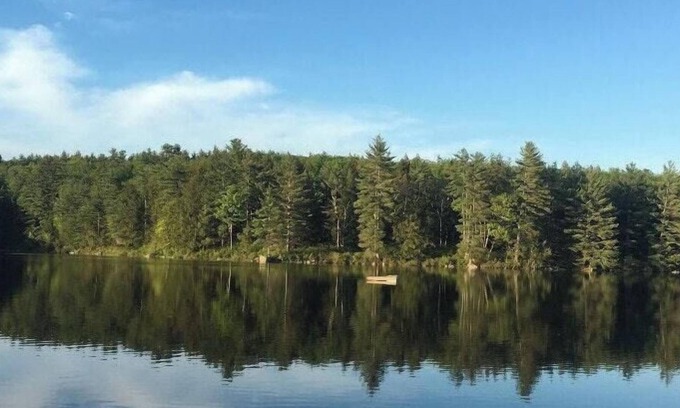 Warner Alquiler De RV | Tentrr Signature Site - Bagley Pond Waterside