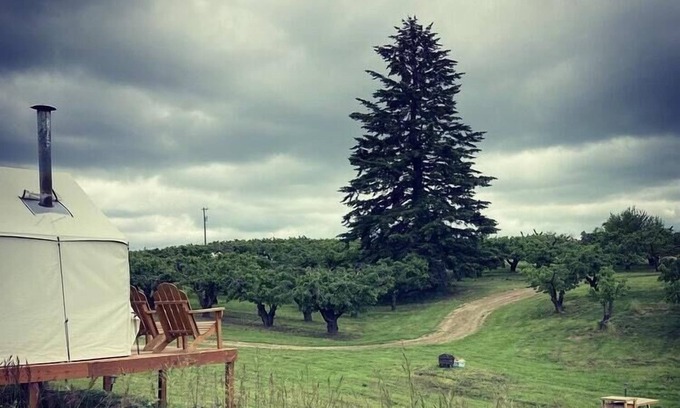Mead Alquiler De RV | Tentrr Signature Site - Hidden Acres Orchards