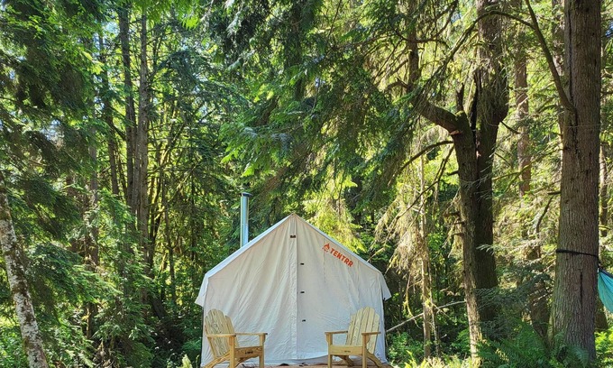 Arlington Alquiler De RV | Tentrr Signature Site - Fern Gully Site 1