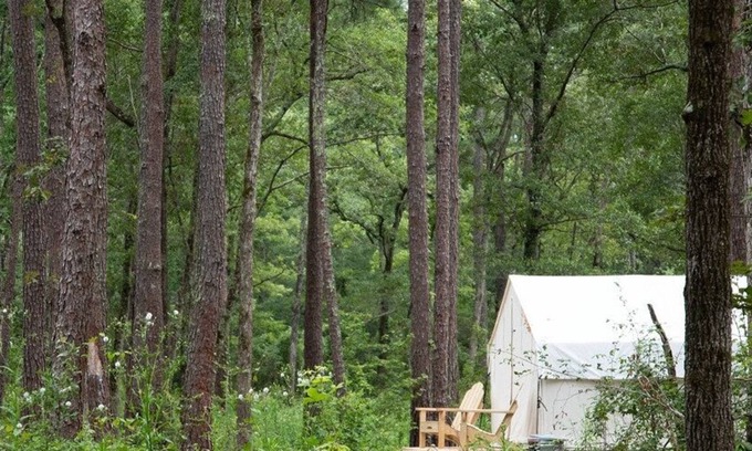 Florence Alquiler De RV | Tentrr Signature Site - The Woods at Black Creek - The Swamp Fox