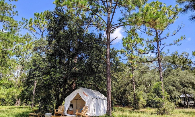 Edgar Alquiler De RV | Tentrr Signature Site - Wind in the Pines North Florida Lake Retreat