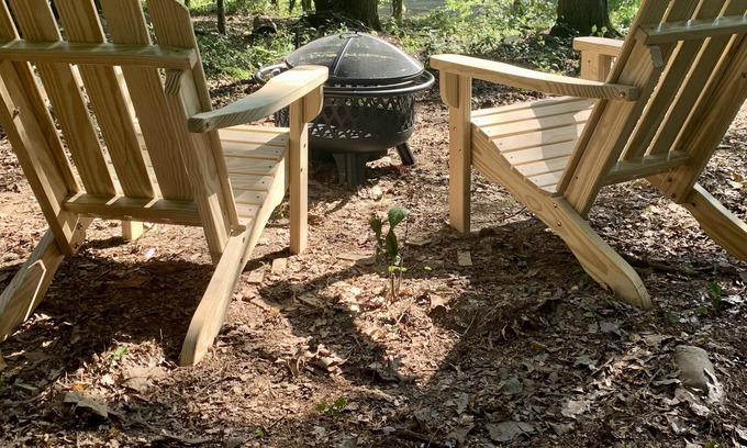 Watauga Alquiler De RV | Tentrr Signature Site - Watauga River Paradise -Ledges Landing