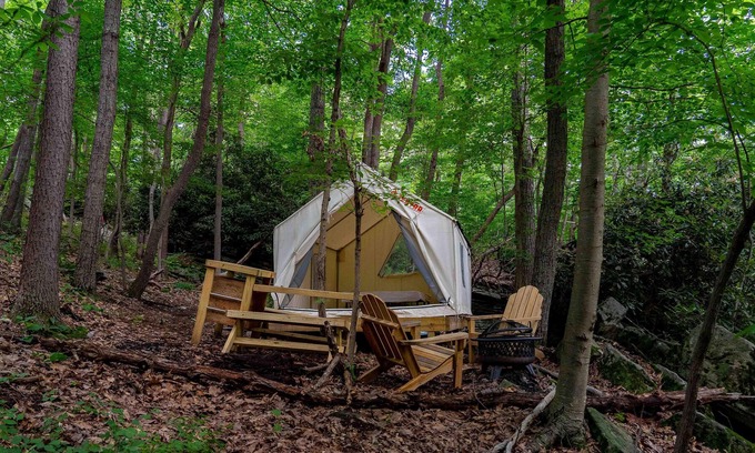 Berkeley Springs Alquiler De RV | Tentrr State Park Site - WV Cacapon State Park - Site F (2.3 miles past Cacapon