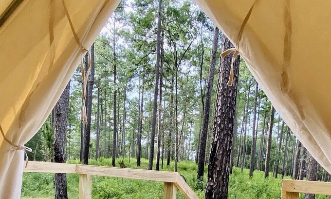 Talisheek Alquiler De RV | Tentrr State Park Site - Louisiana Bogue Chitto State Park - Gorge Trail N - Sin