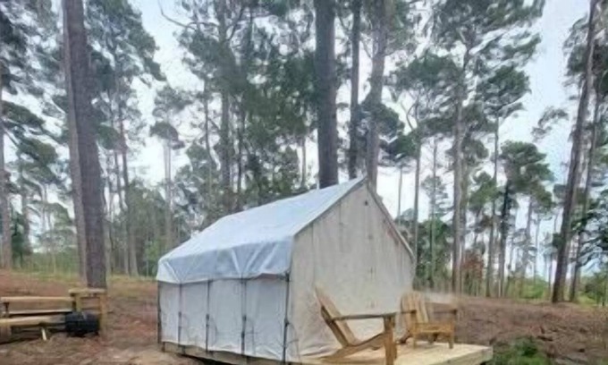 Zwolle Alquiler De RV | Tentrr State Park Site - Louisiana North Toledo Bend State Park - Lakeview D - S