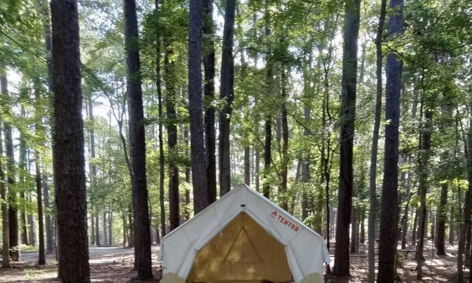 Zwolle Alquiler De RV | Tentrr State Park Site - Louisiana North Toledo Bend State Park - Forest Glade H