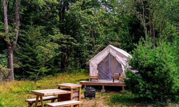 Davis Alquiler De RV | Tentrr State Park Site - WV Blackwater Falls State Park - Site D - Single Camp "