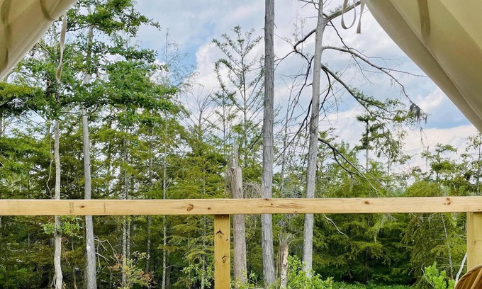 Lake Charles Alquiler De RV | Tentrr State Park Site - Louisiana Sam Houston Jones State Park - Lagoon View C
