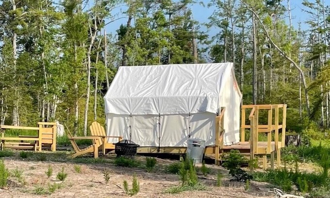 Lake Charles Alquiler De RV | Tentrr State Park Site - Louisiana Sam Houston Jones State Park - Lagoon View E