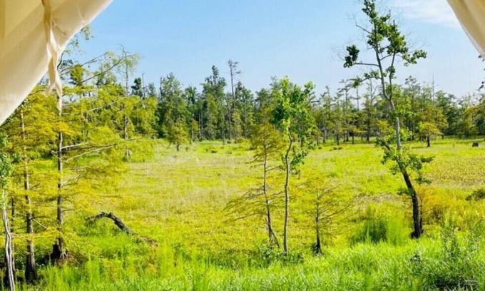 Lake Charles Alquiler De RV | Tentrr State Park Site - Louisiana Sam Houston Jones State Park - Lagoon View G