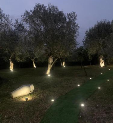 Sant'Elia Fiumerapido Cama Y Desayuno | Tenuta degli Uliveti