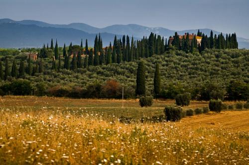 Grosseto Casa | Tenuta di Poggio Cavallo