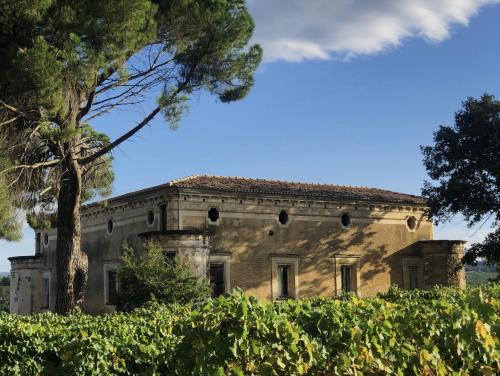 Malvito Apartamento | Tenute Pacelli - Azienda Agricola