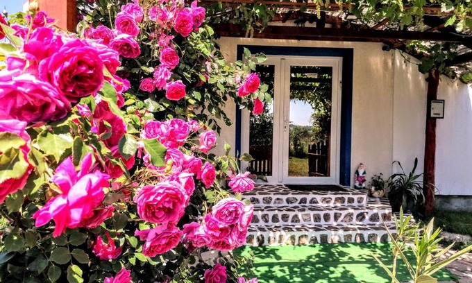 Baile Felix Casa | Teo Guest Rooms