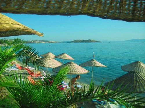 Foca Casa | Teras Motel