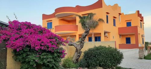Il Monte Apartamento | Terra e colori
