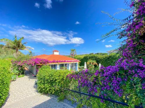 Ribeira Grande Casa | Terra Vivaz - Ribeira Cottage