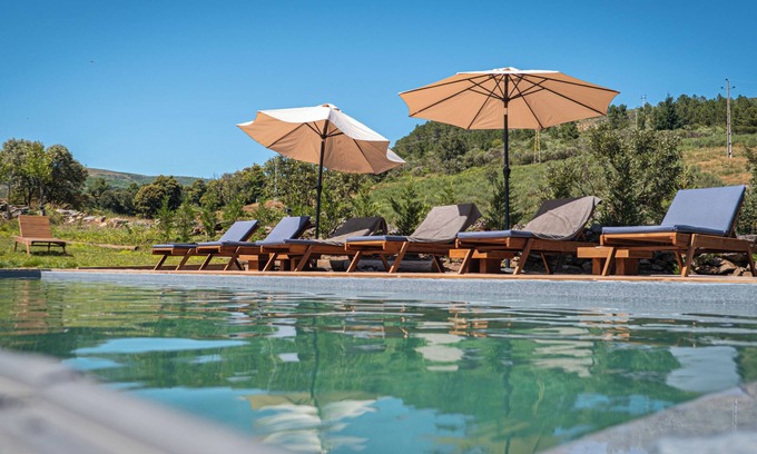 Videmonte Cama Y Desayuno | TerraSense Mountain Charm Retreat & Farm