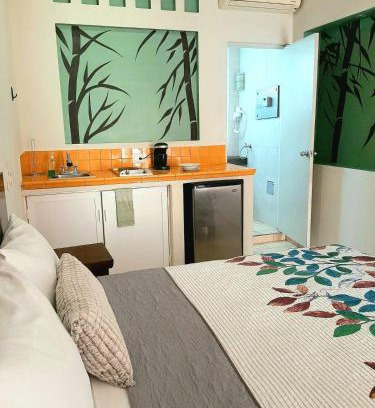 Centro de Cabo San Lucas Apartamento | Terraza studios Apartment