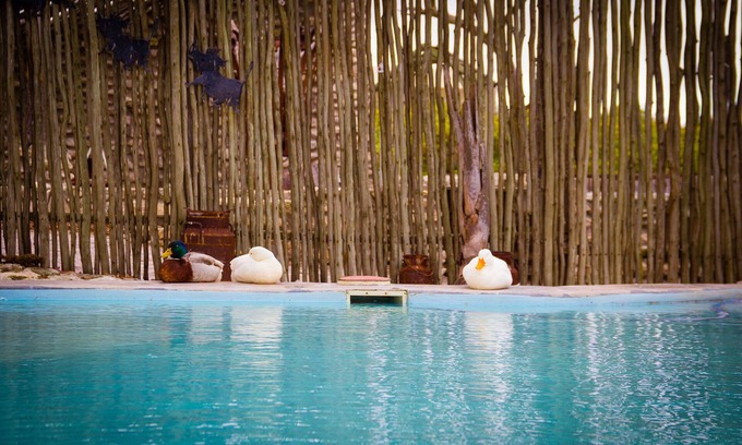 Saldanha Bay Cabina | Thali Thali Game Lodge