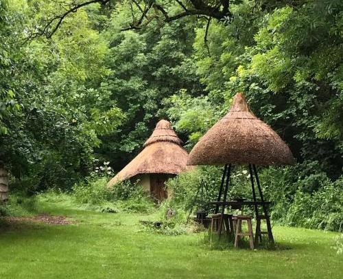 Ash Otro | Thatched Roundhouse in Somerset Woodland