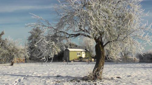Broughton Hackett Casa | the abberton shepherds hut