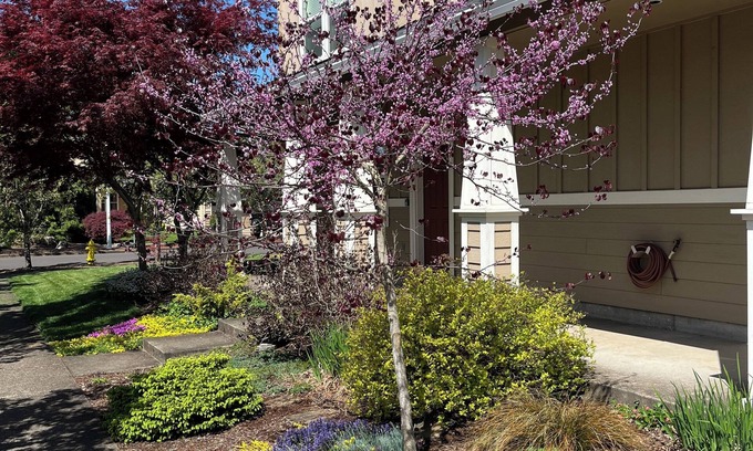 Albany Casa | The Albany Guest House