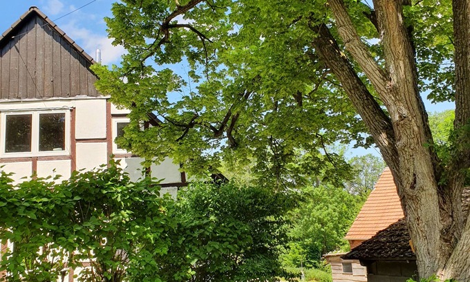Extertal Otro | The "Alte Försterei "Feel-good place in nature, secluded location with sauna barrel and fireplace