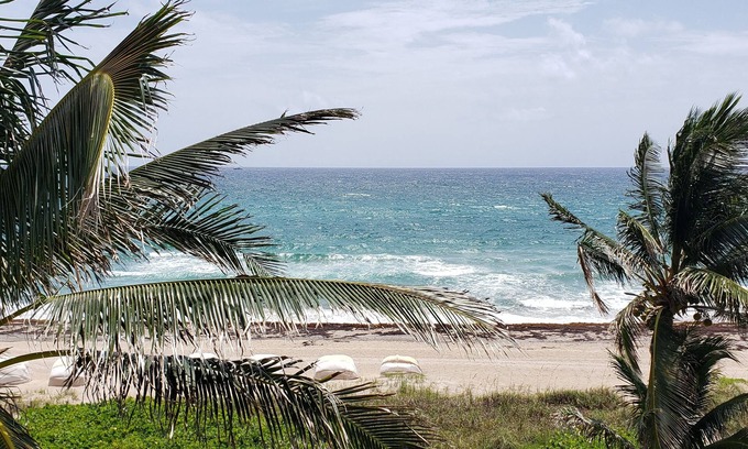 Palm Beach Hotel | The Ambassador Hotel