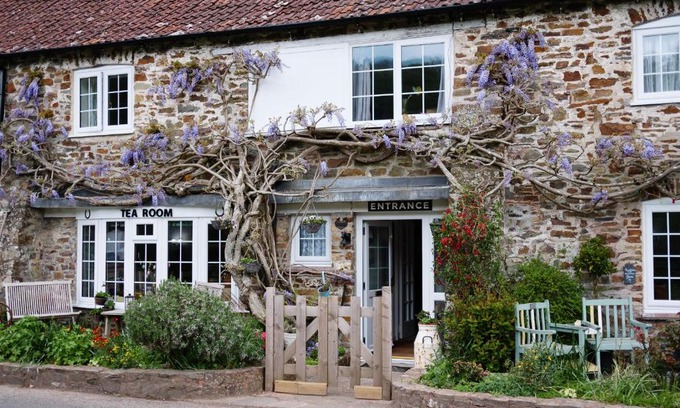 Oakfordbridge Cama Y Desayuno | The Bark House