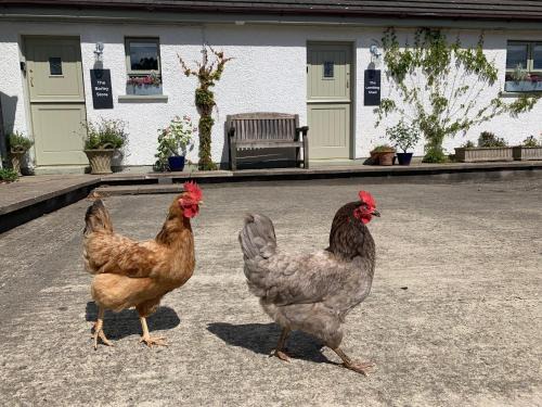 Bushmills Apartamento | The Barley Store at Walkmill Farm