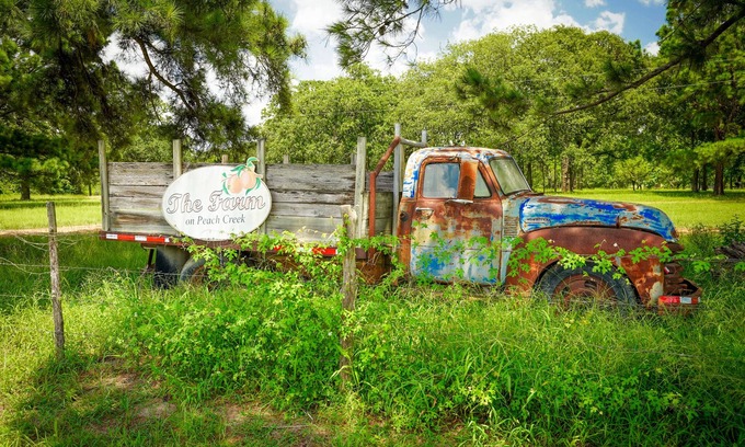 Jeddo Otro | The Baugh Farm-Country Living near ATX