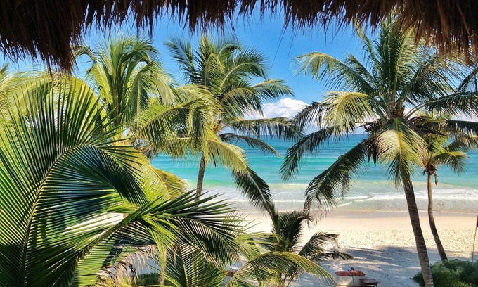 Zona Hotelera Complejo | The Beach Tulum Hotel