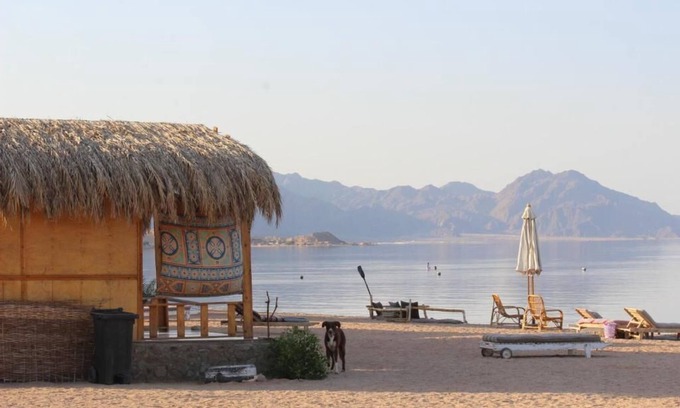 Nuweiba Villa | The Bedouin Life with Eid Ali - Standard Double room 2