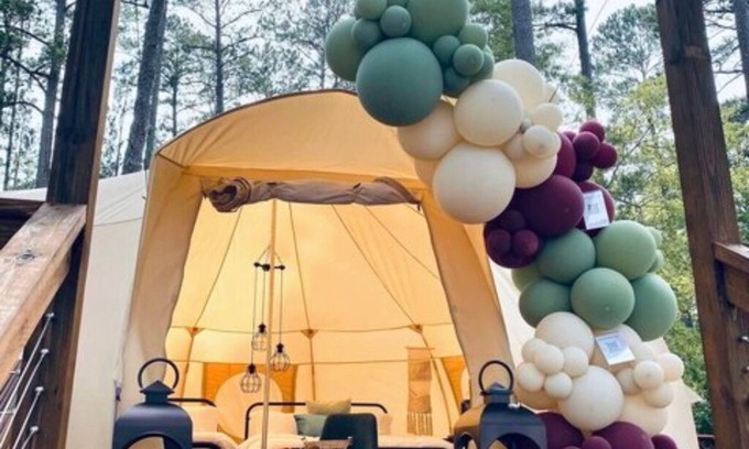 Lincolnton Cabina | The Bee's Knees (Tent)
