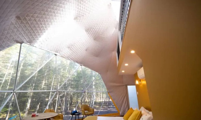 Queens County Cabina | The Bellflower