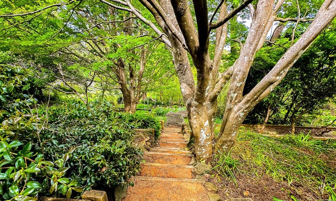 Robertson Casa | The Best of Both Worlds