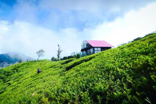Nuwara Eliya Hotel | The Blackberry Cottage