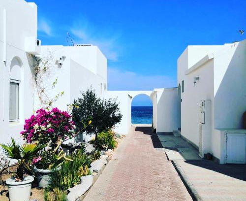 Al-Bustan Casa | The Blue Gate 2