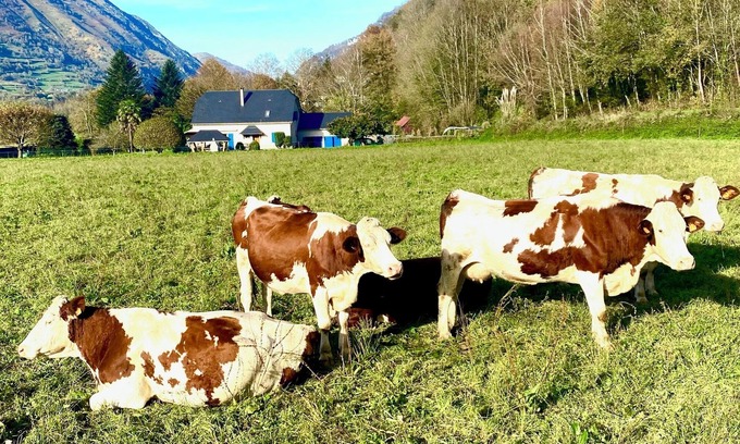 Accous Cama Y Desayuno | The Blue Sheep : 2 beautiful Bed and Breakfast of charm in the Aspe Valley