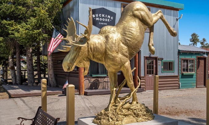 West Yellowstone Hotel | The Bucking Moose