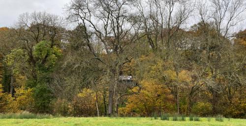 Rock Otro | The cabin at Abberley Glamping