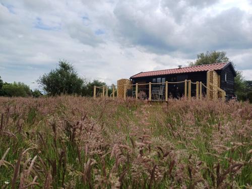 Bury St Edmunds Otro | The Cabin