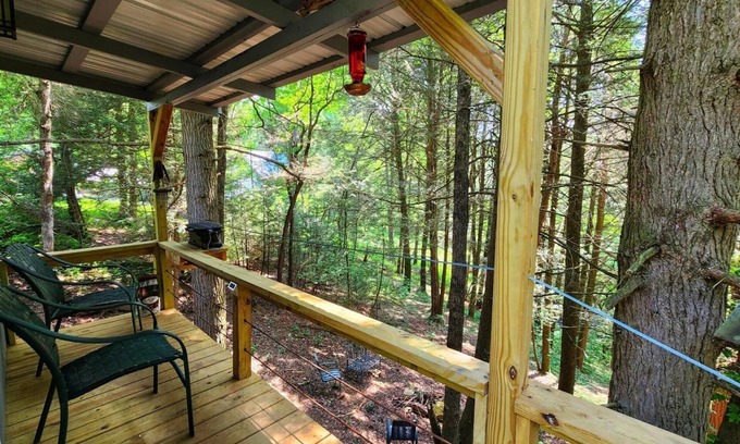 Coalmont Casa | The Cabins at Ranger Creek 2