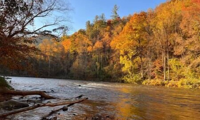 Newport Casa | The Cataloochee Tiny Home on the Pigeon River
