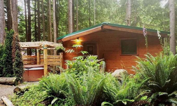 Ucluelet Cabina | The Clearwater de Evergreen Forest Cabins