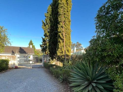 Grahamstown Apartamento | The Cock House