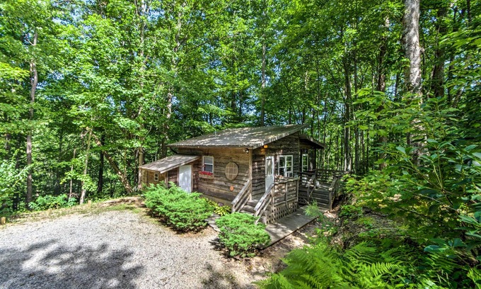 Stecoah Cabina | Serene Robbinsville Cabin w / Screened Porch & Grill