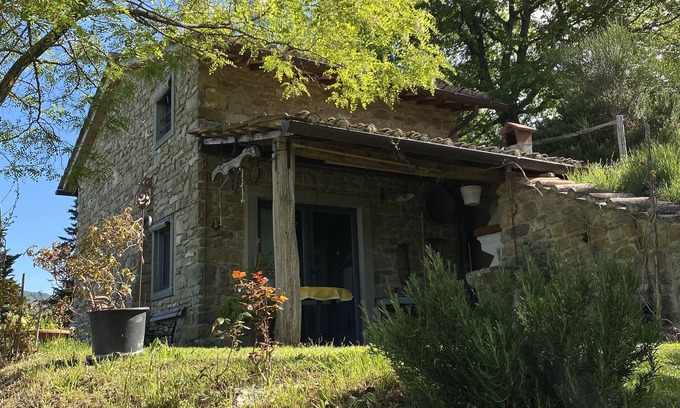 Vicchio Chalet De Esquí | The cottage in the woods